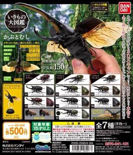 （分類：）位於 。 由 kamenng 提交（商品編號 1262796269，圖片 1）。簡介： 。
