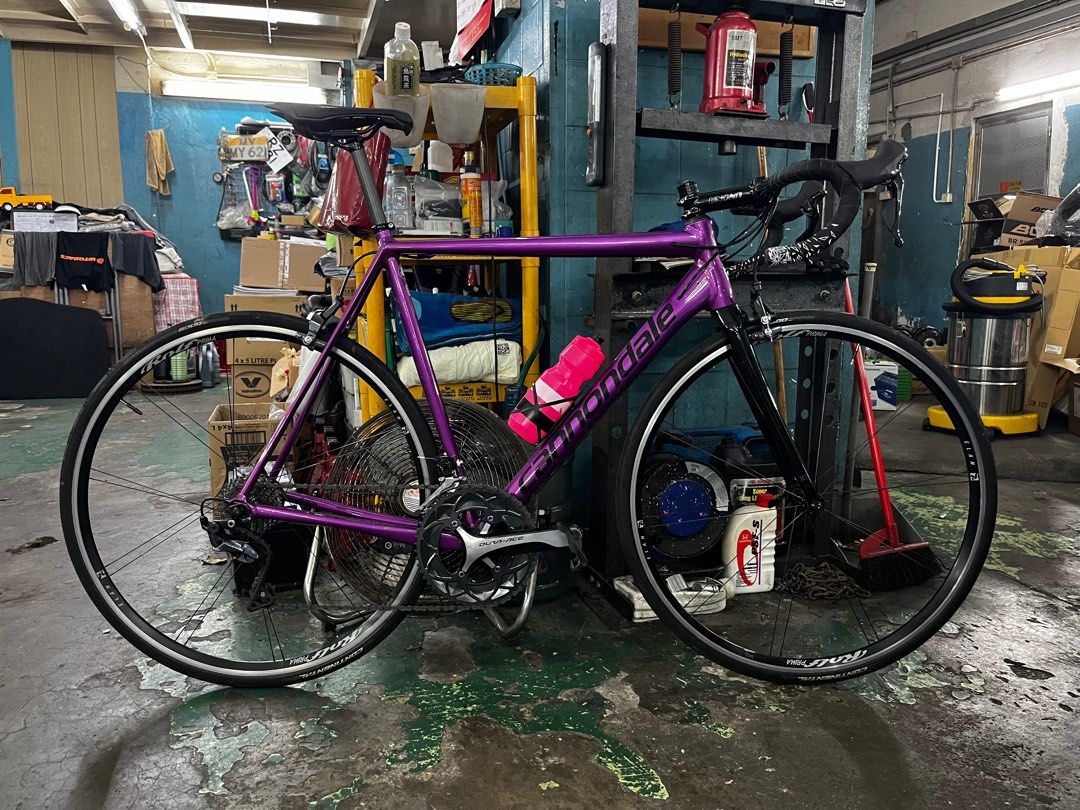 Caad 12 2019 rolf prima, 運動產品, 單車及配件, 單車- Carousell