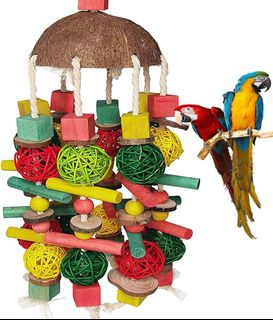 (Category: ) located in . Submitted by birdheaven (Listing ID 1262809286, Image 1). Description: .