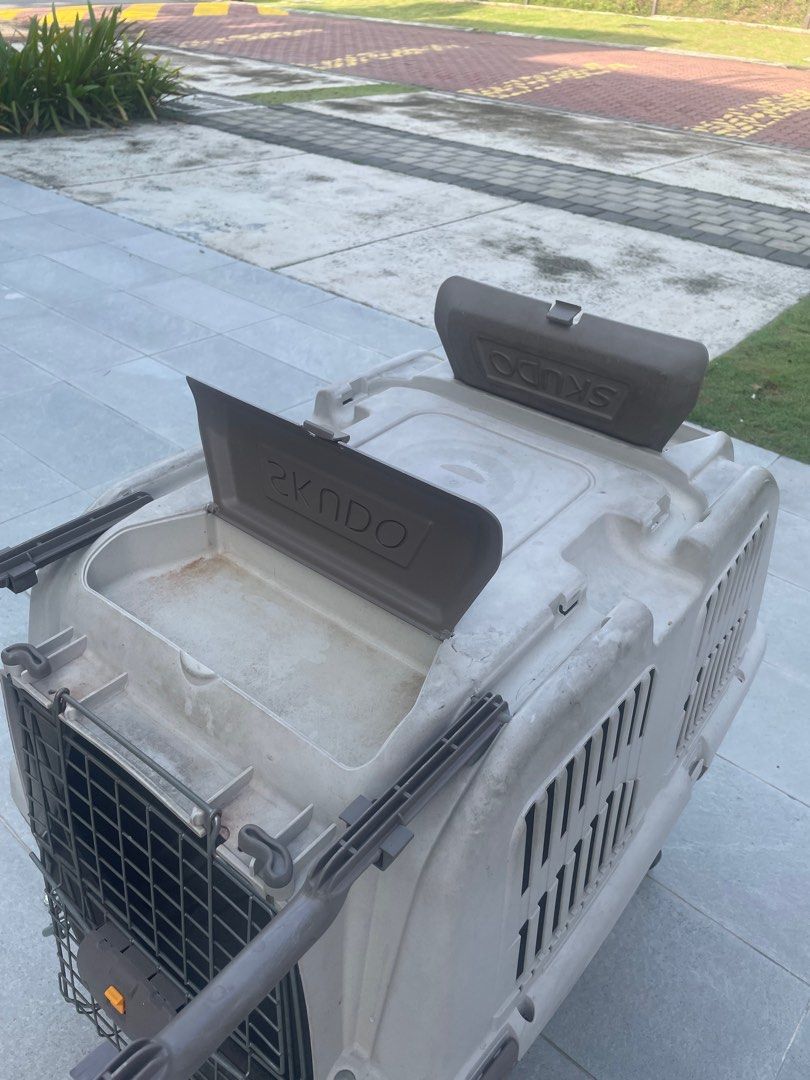 Pet carriage, Pet Supplies, Homes & Other Pet Accessories on Carousell