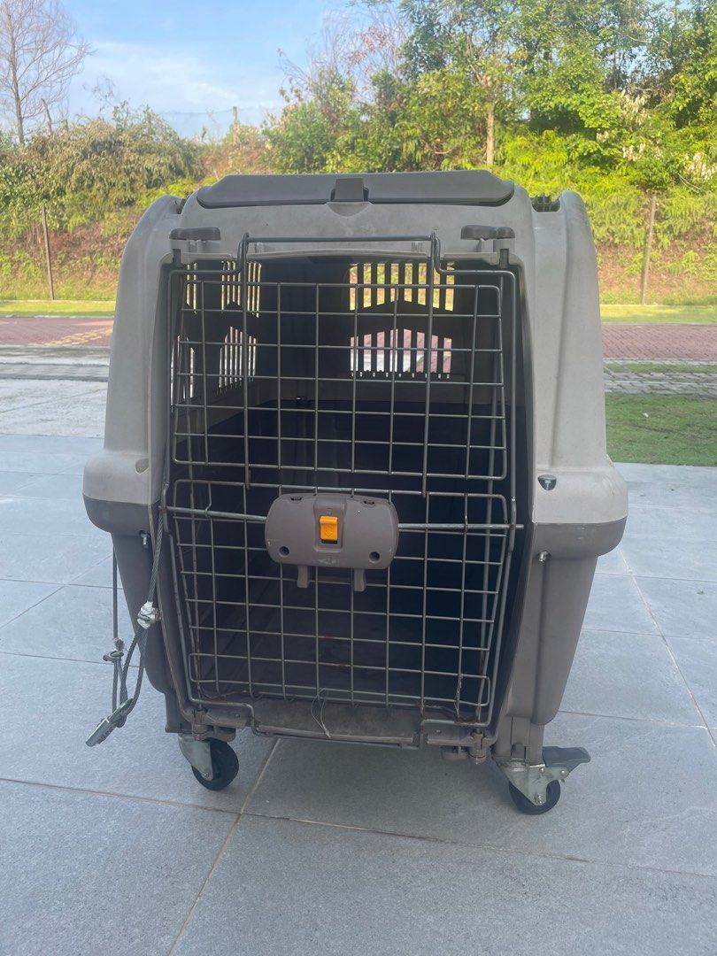 Pet carriage, Pet Supplies, Homes & Other Pet Accessories on Carousell