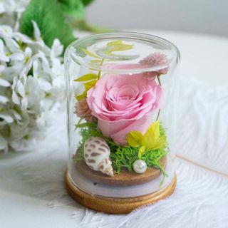 (Category: ) located in . Submitted by theflowerbooth (Listing ID 1262717903, Image 1). Description: .