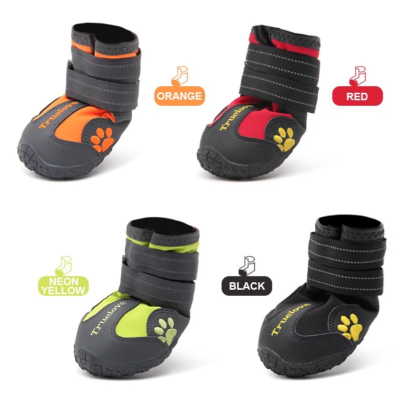 True love 2024 dog shoes