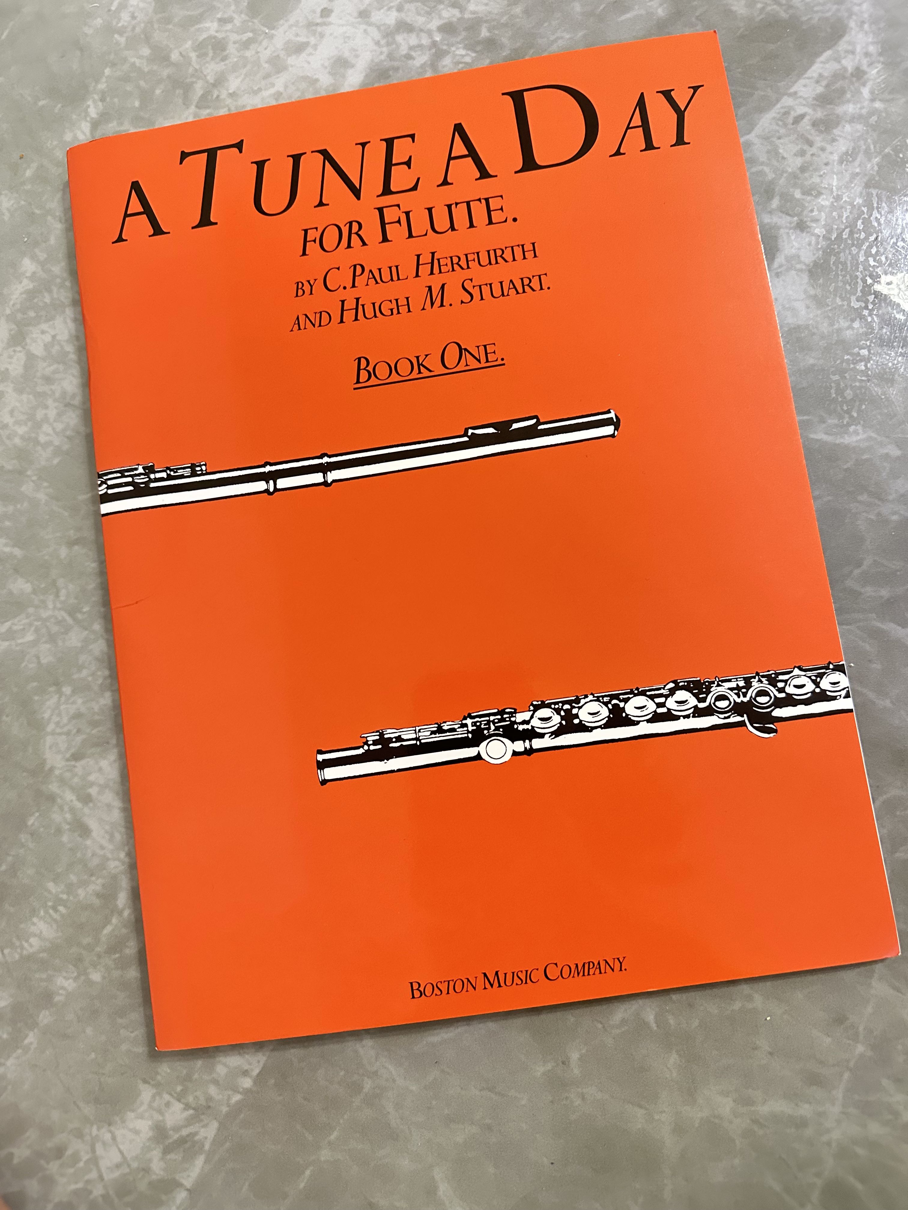 全新長笛樂譜A tune a day for flute book one, 興趣及遊戲, 書本 & 文具, 書本及雜誌 補充練習