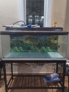 (Category: ) located in . Submitted by Cap3Rambutan (Listing ID 1258193237, Image 1). Description: .