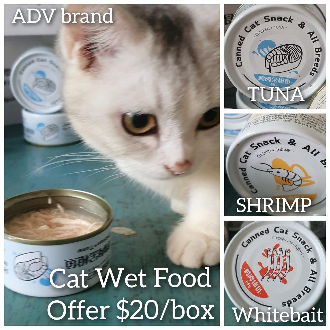 Cat food 24caneed just 20 cat food wet food FREE delivery with 20boxes purchase