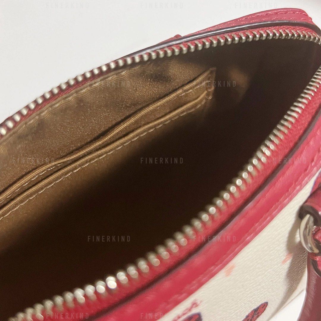 Coach Micro Rowan Hand Bag with Ladybug Print No Strap