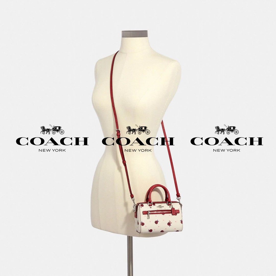 Micro rowan crossbody best sale with ladybug print
