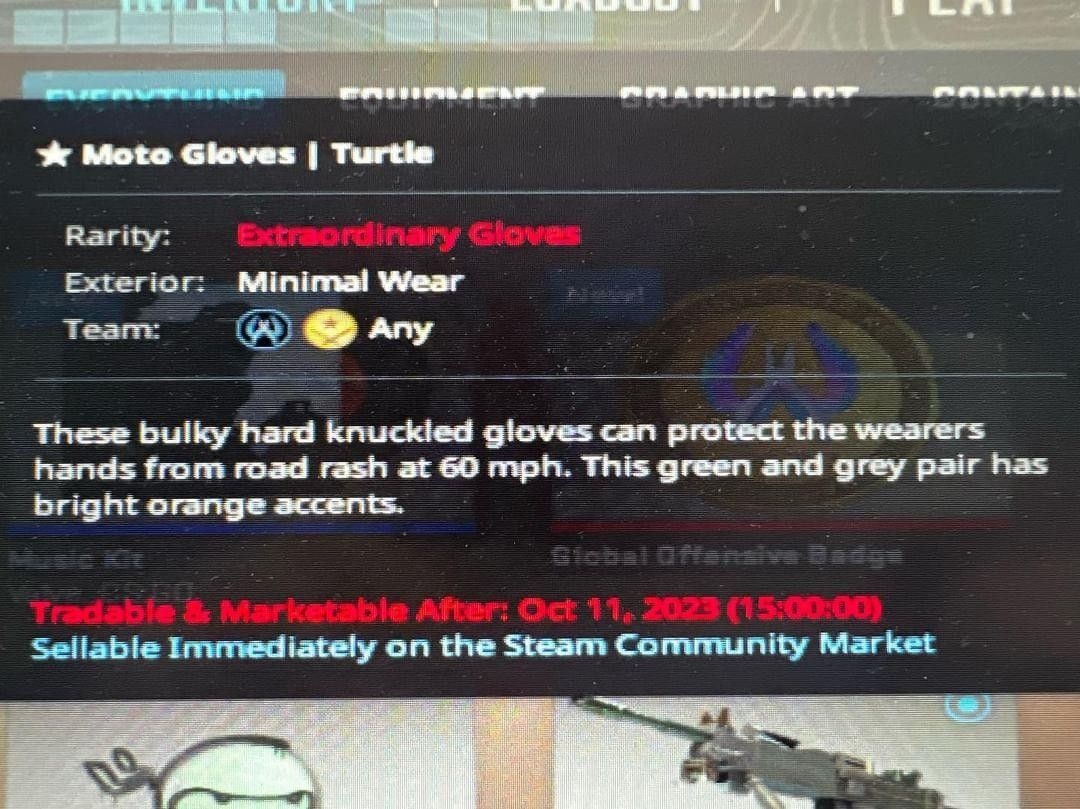 CSGO Moto Gloves Turtle, Video Gaming, Gaming Accessories, InGame
