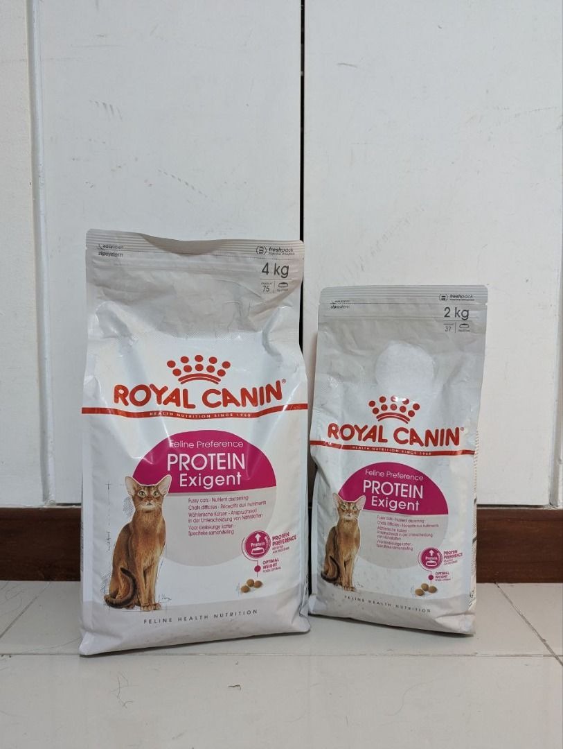 Harga royal canin outlet cat food