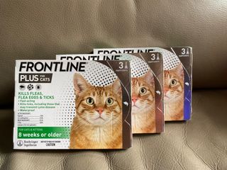（分類：）位於 。 由 chillimo 提交（商品編號 1258093178，圖片 1）。簡介： 。