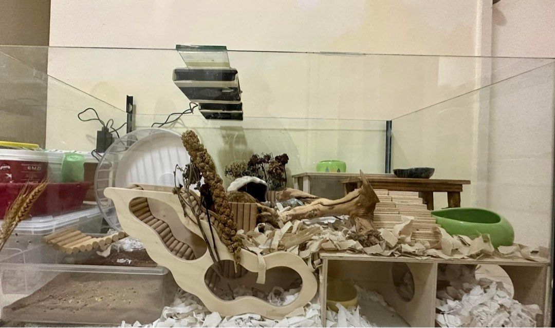 Hamster aquarium outlet cage setup
