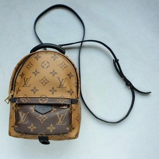 Preloved Louis Vuitton Palm Springs PM Backpack Limited Edition Monogr –  KimmieBBags LLC