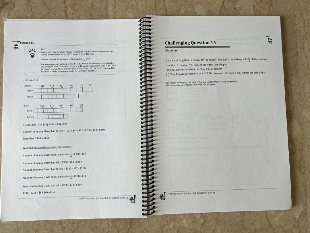 Challenge Math Guide Mathematics Exceptionally Challenging Questions published 2020, Hobbies ...