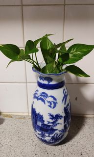 (Category: ) located in . Submitted by rachavi (Listing ID 1258189032, Image 1). Description: .