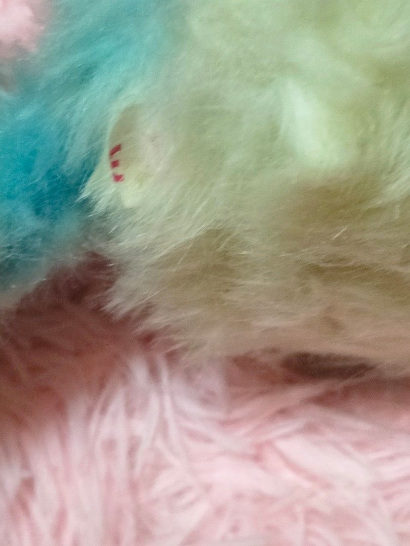 Pomsies dog deals