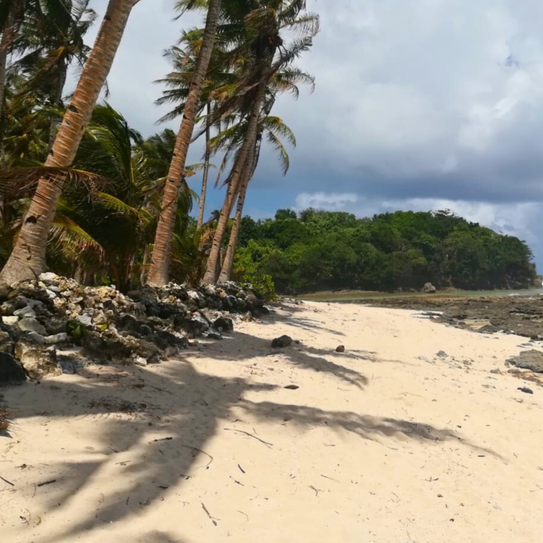 Prime Beach Lot in Siargao For Sale, Property, For Sale, Lot on Carousell