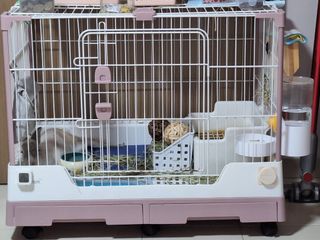(Category: ) located in . Submitted by eve234 (Listing ID 1258210020, Image 1). Description: .