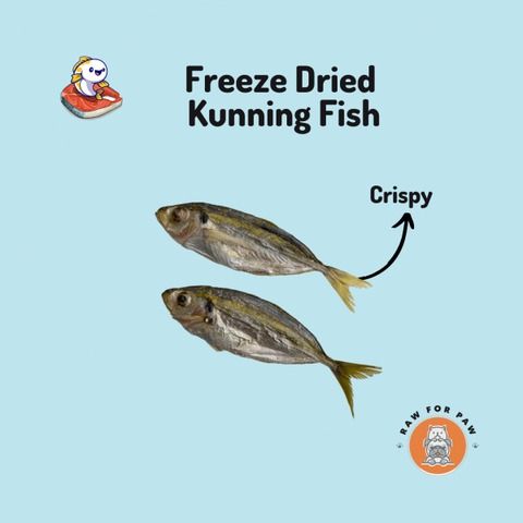 Fresh fish for dogs 2025