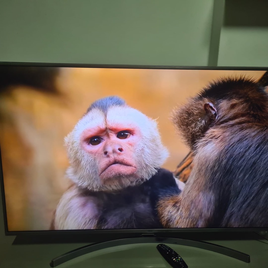 Smart TV TV Home Appliances TV Entertainment TV On Carousell smart-tv-tv-home-appliances-tv-entertainment-tv-on-carousell