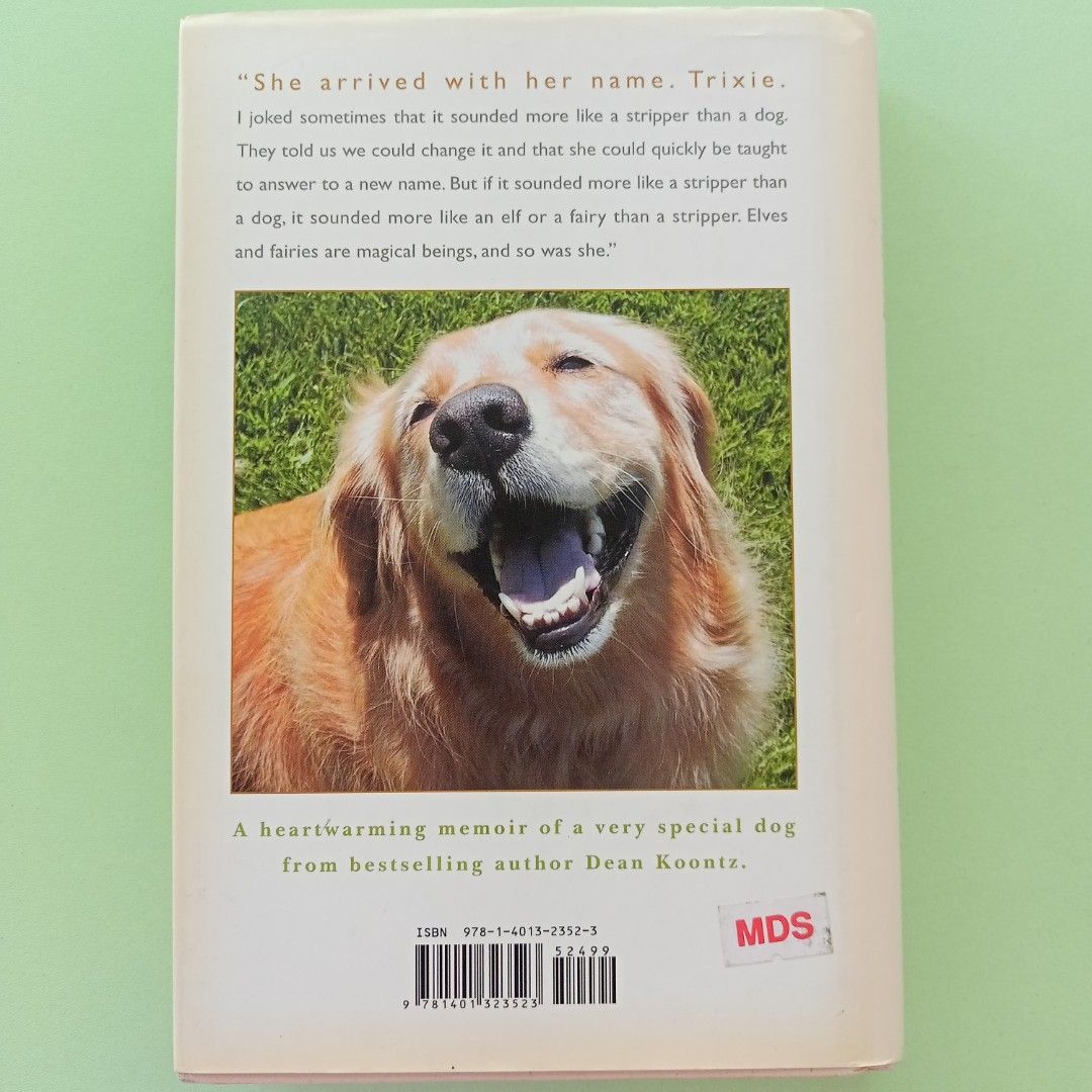 A big little life a shop memoir of a joyful dog