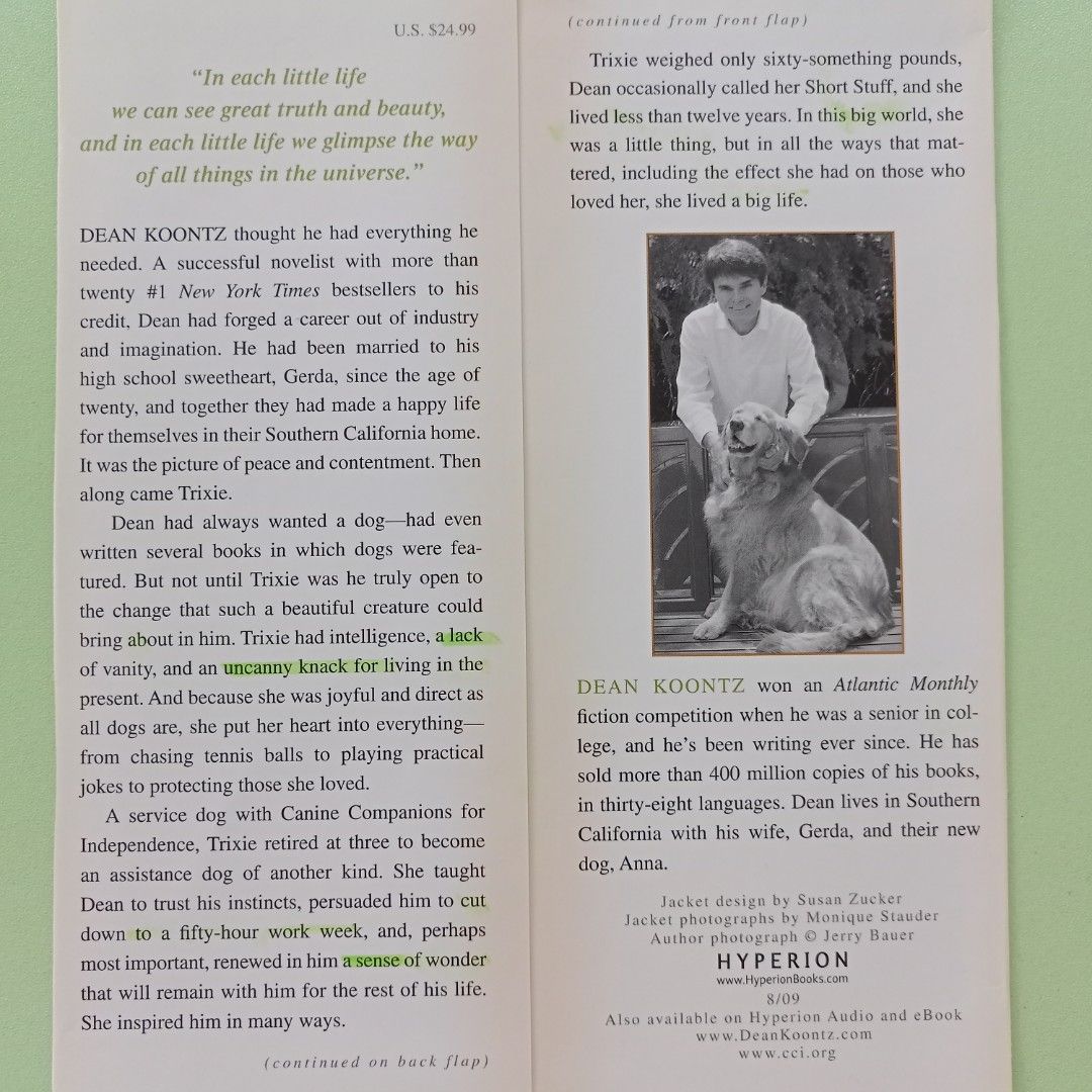 A big little life a memoir best sale of a joyful dog