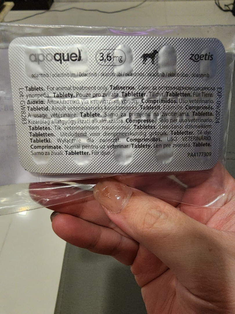 Apoquel 3 6mg Tablets X 21 Pet Supplies Health Grooming On Carousell   Apoquel 36mg Tablets X 21 1698663779 4ec830d1 