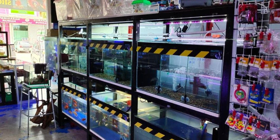 Aquarium shop outlet for sale