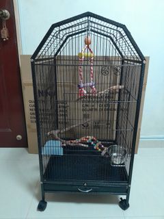 Bird Cage (45x45x93cm)