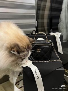 🖤 CHANEL Bucket Bag 2022 2023, Chanel 22S Bucket bag, unboxing, model  shots, price and details 