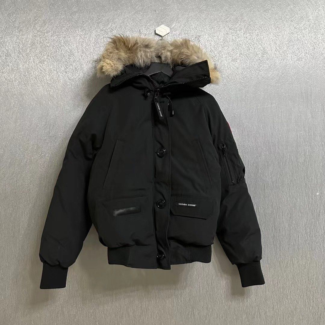 Canada goose