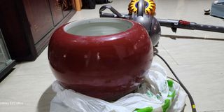 (Category: ) located in . Submitted by ap899 (Listing ID 1262903790, Image 1). Description: .