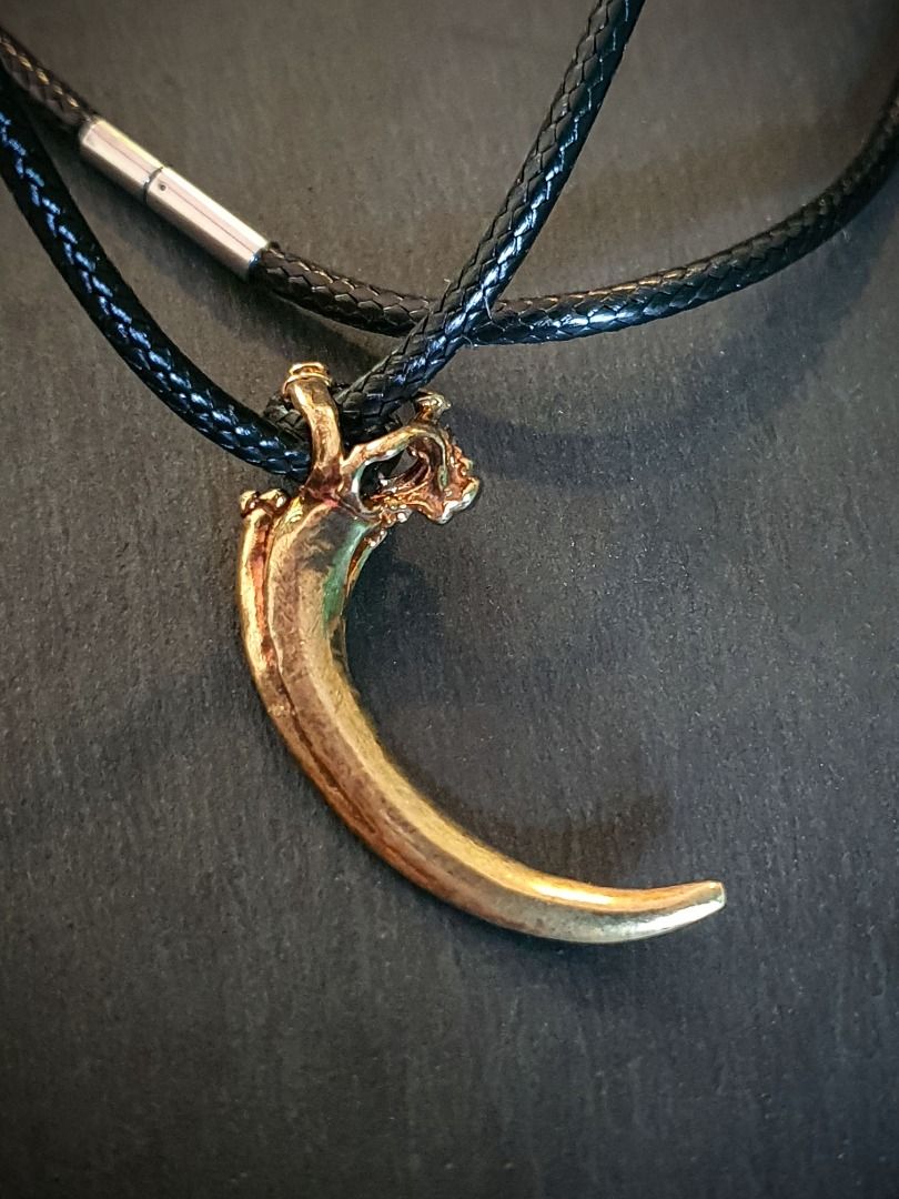 Real eagle sales claw necklace
