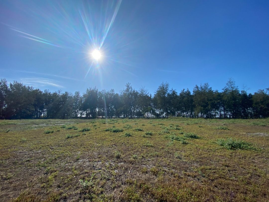 Exclusive Beach Lots in La Paz, San Narciso, Zambales, Property, For