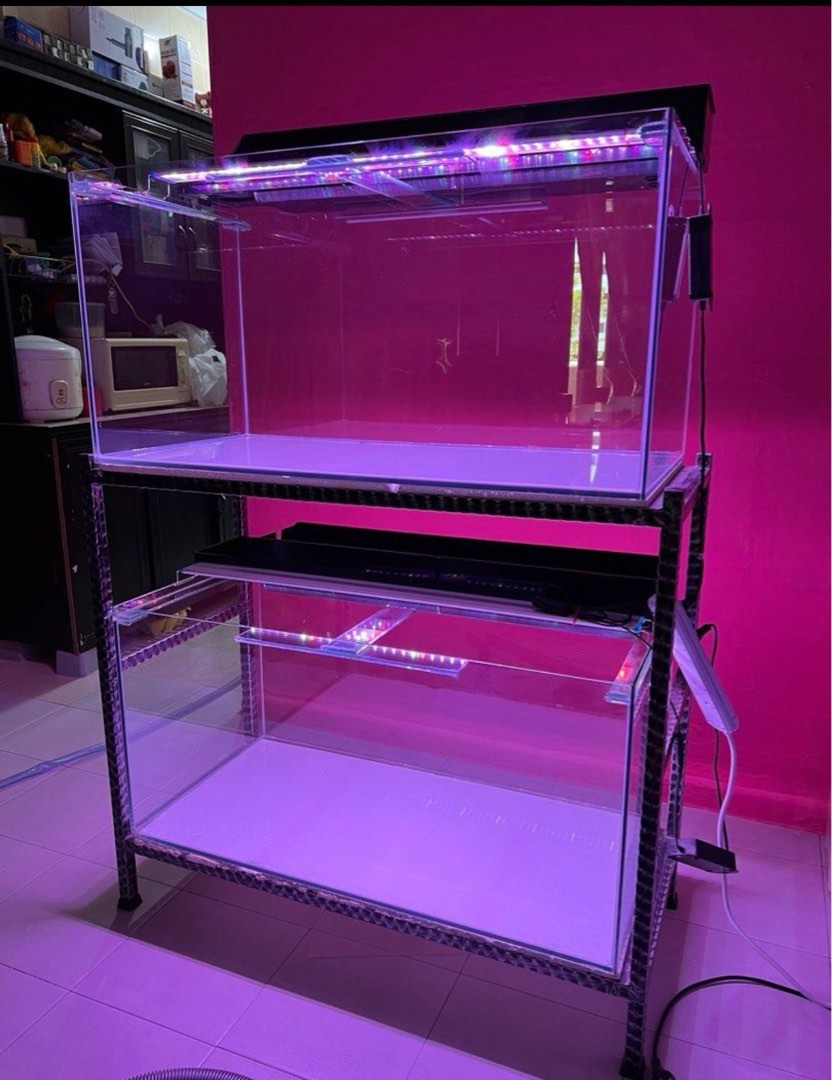 Fish tank 3Ft, Pet Supplies, Homes & Other Pet Accessories on Carousell