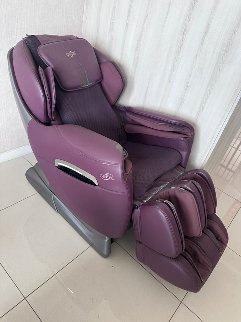 GINTELL DE WISE CARE Massage Chair Health Nutrition Massage