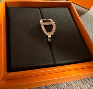 HERMÈS Rodeo Pegase PM charm in Gold, Vert Fizz and Vert Cypress Swift  leather-Ginza Xiaoma – Authentic Hermès Boutique