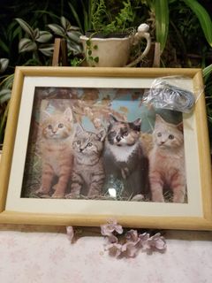 (Category: ) located in . Submitted by Reosp1822 (Listing ID 1262984985, Image 1). Description: .