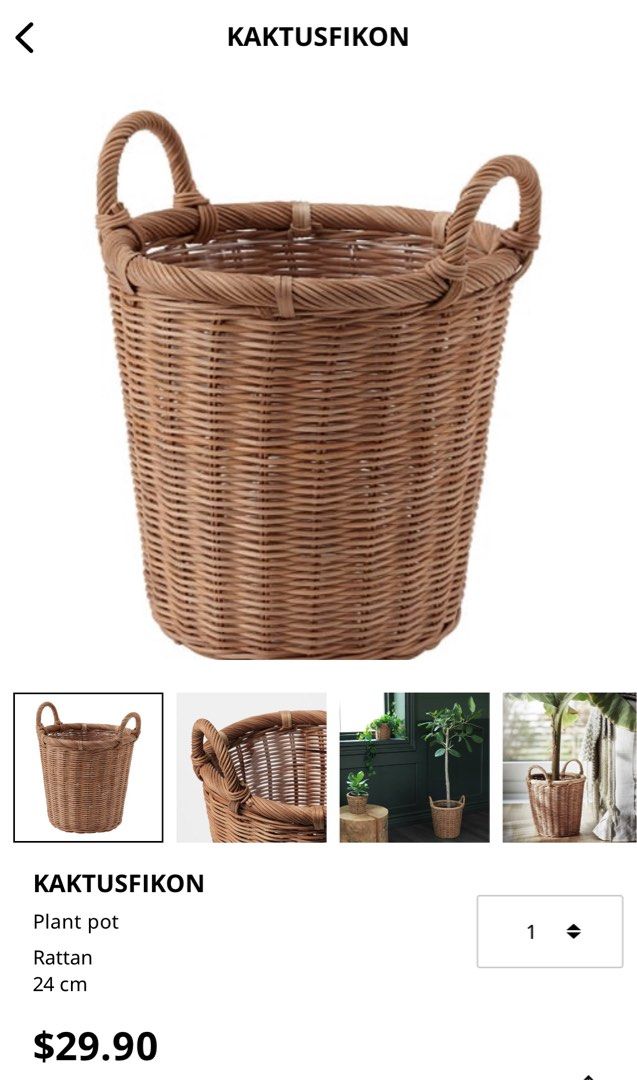 KAKTUSFIKON Plant pot, rattan, 4 ¾ - IKEA