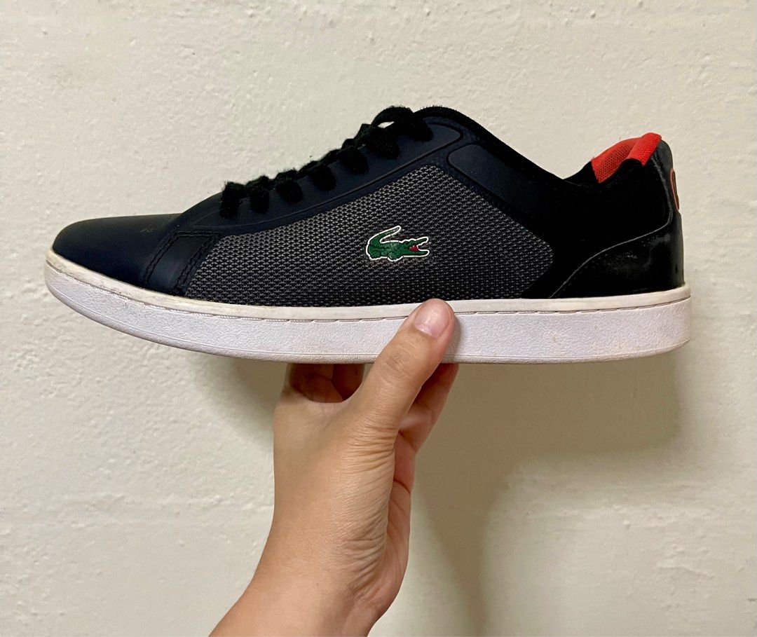 Lacoste endliner 317 new arrivals