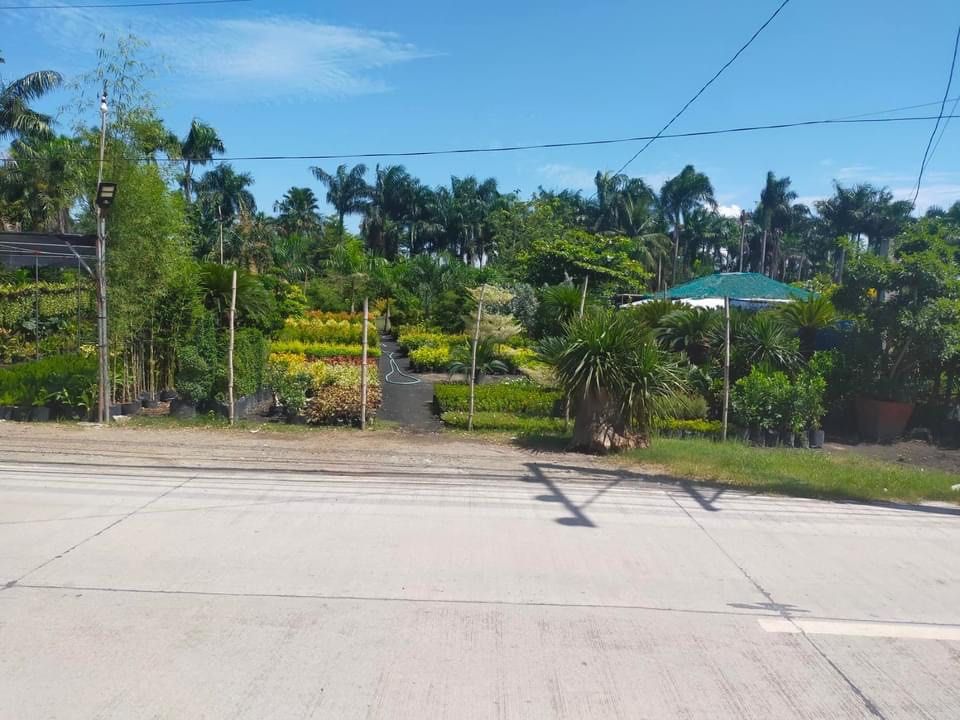Longos Calumpit Bulacan Commercial Residential Lot for sale, Property