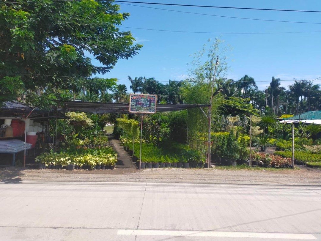 Longos Calumpit Bulacan Commercial Residential Lot for sale, Property