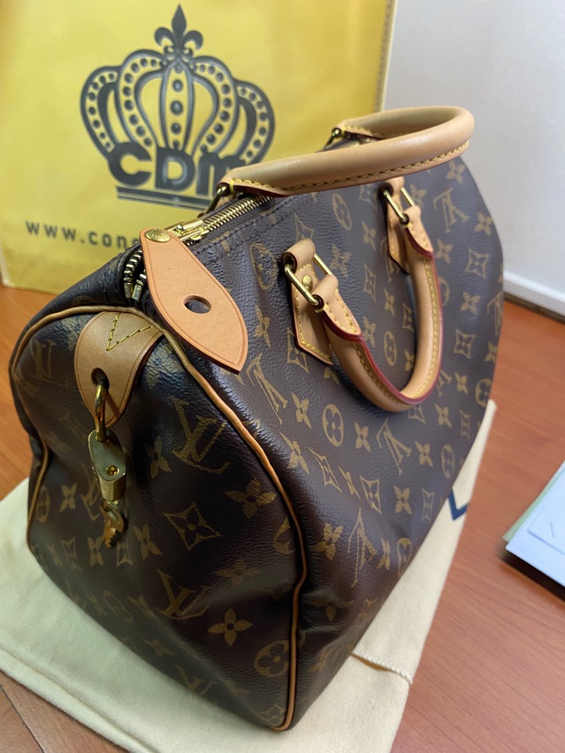 LV Van Gogh Speedy 30 cm Limited Edition, Women's Fashion, Bags & Wallets,  Cross-body Bags on Carousell