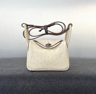 Hermès Terre Cuite Ostrich Lindy 26 Palladium Hardware, 2015