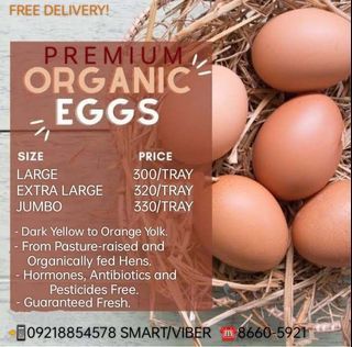 Organic Brown Eggs