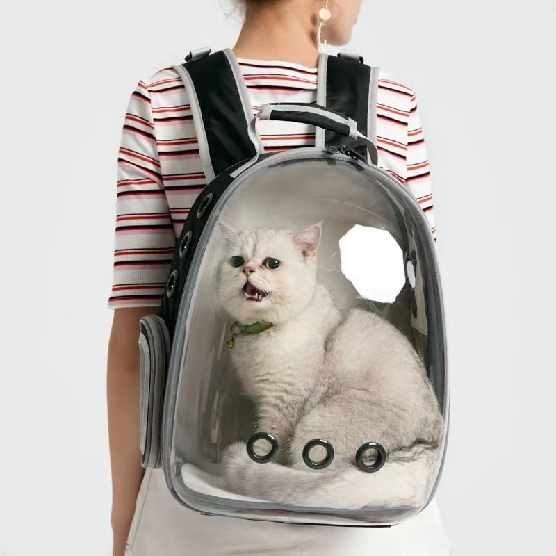 Outdoor hotsell cat carrier