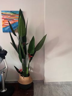 (Category: ) located in . Submitted by keepingdaisy (Listing ID 1262849611, Image 1). Description: .