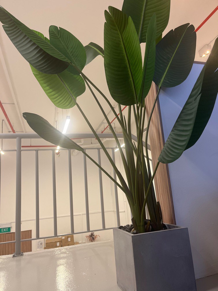 Tall Artificial Green Plant with big leaves, Furniture & Home Living, Gardening, Pots & Planters