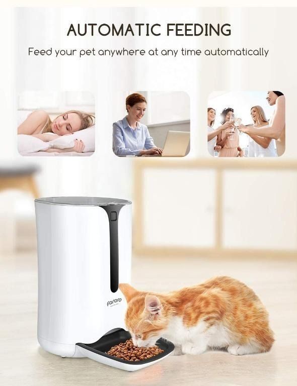 Cat sale time feeder