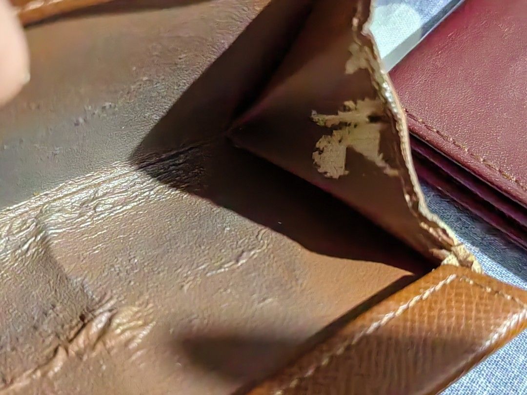 Louis Vuitton Victorine Wallet Reddit